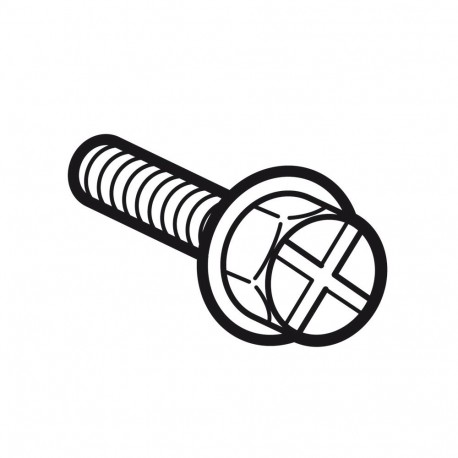 020091 LEGRAND SCREW M6
