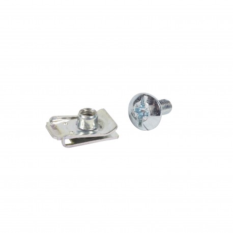 339702 LEGRAND PACK DE 100 VIS W/CAP
