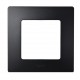 665081 LEGRAND NL-PLATE 1ELE ANTHRACITE