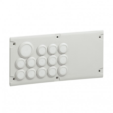 036495 LEGRAND PIASTRA CABSTOP IP55 D13