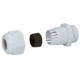 096820 LEGRAND PRENSAES RAL 7035 IP55 PG7