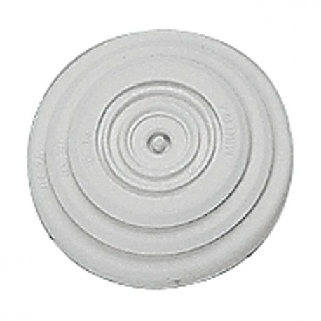 091915 LEGRAND CÔNE DE RECHANGE DIAM.25