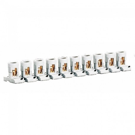 034001 LEGRAND REGLETA DE PASO 2X10 MM2