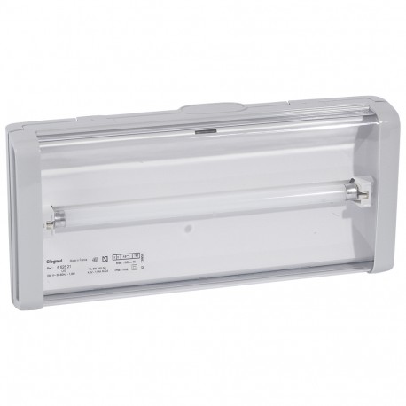 662521 LEGRAND B66 LVS2 по 100lm 1ч защиты IP66 НП