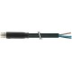 7000-08161-6301000 MURRELEKTRONIK MACHO M8 COMPLEMENTO DE 0° PUR 3x0.25 AMARILLO, 5m