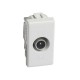 AM5202P14 BTCINO MX-BASED TV INTERM 14DB 1M WHITE