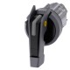 3SU1042-2GL10-0AA0 SIEMENS Illuminable selector switch, 22 mm, round, collar, metal front ring, metal matte,..