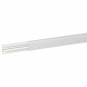 030021 LEGRAND DLPLUS-CHANNEL 40X16 1 SEPTUM