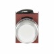 1SFA184497R9105 ABB PUSHBUTTON P9MPLBGD