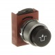 1SFA187235R9506 ABB Push button P9MPNNS032