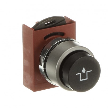1SFA187235R9506 ABB Кнопочный P9MPNNS032