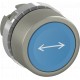 1SFA188900R9504 ABB Push button P9MPNLG007