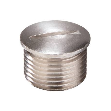EMVS-L 40 10065077 WISKA Tappo metallico, filetto lungo IP54, M40