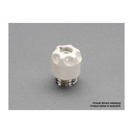 01098 WÖHNER Screw cap. D, 500 V E 27 Porcelain