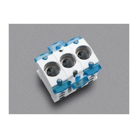 31306 WÖHNER Fuse holder D0 mounting panel E 18/3, protected against accidental contact