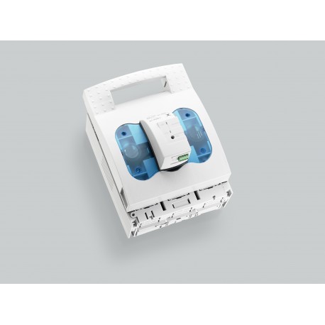 33330 WÖHNER NH 250A disconnector, panel mount, screw both sides, disp. fusion electronic, size 1