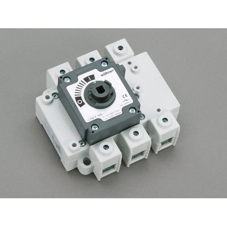33424 WÖHNER CAPUS Panel, interruptor corte en carga 3P sin maneta, 125A, Brida 95 mm2