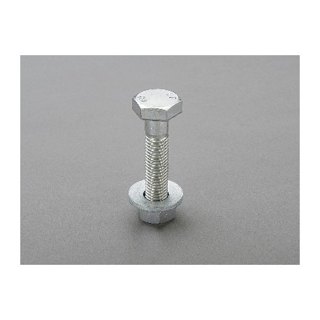 01380 WÖHNER Tornillo cabeza martillo para barra TCC, M12x60
