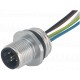 7000-14121-9750020 MURRELEKTRONIK M12 conector brida macho B-cod. montaje frontal PE-wire 5X0.34 0.2m