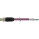 7000-14241-7992000 MURRELEKTRONIK M12 macho 0° B-cod. Interbus PUR 3x2x0.25 blindado violeta 20m