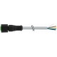 7005-12241-2151000 MURRELEKTRONIK M12 hembra 0° con cable PVC 5X0.34 amarillo UL/CSA 10m