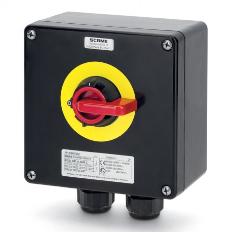591.PEM4002-A SCAME INT. DE MANOEUVRE 40A 2P IP66