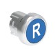 LPSB1176 LOVATO Blue Metal Grade Button with R symbol
