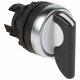 023930 LEGRAND HEAD SELECT LONG 2P BLACK