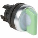 024032 LEGRAND TESTA SELETTORE LUM 2P VERDE