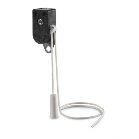 195.200B SCAME INTERRUPTOR DE TIRADOR 2A 250V