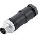 22262013 LAPP AB-C4-M12FAT-PG11