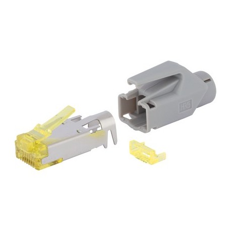 24441256 LAPP RJ45 Stecker TM31 Hirose Cat.6A GY