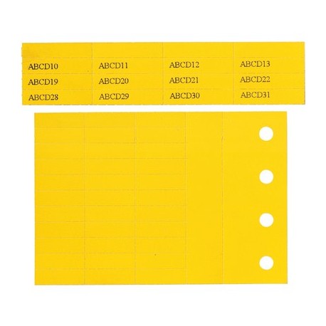 61823110 LAPP ETICHETTE PF-10015
