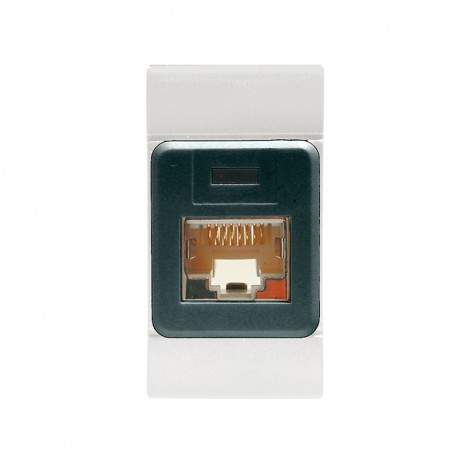 101.6481.60G SCAME PRESA EDP RJ45CAT.6 8/8UTP(N/SCHER.) GR