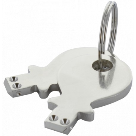 69093 MURRELEKTRONIK Replacement key for 1x40° spring return keylock switch with a mountinghole of 22,3 or 3..