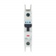 FAZ-B15/1-RT-DC 305921 Y7-305921 EATON ELECTRIC Interruttore automatico internazionale FAZ, 15A, 1P, curva B..