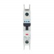 FAZ-C20/1-RT-DC 305880 Y7-305880 EATON ELECTRIC Interruttore automatico internazionale FAZ, 20A, 1P, curva C..