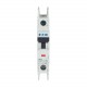 FAZ-C7/1-RT-DC 305874 Y7-305874 EATON ELECTRIC Interruttore automatico internazionale FAZ, 7A, 1P, curva C, ..