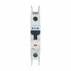 FAZ-B13/1-RT-DC 305920 Y7-305920 EATON ELECTRIC Interruttore automatico FAZ, 13A, 1P, curva B, per anello te..