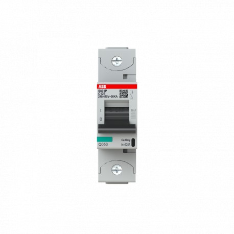 2CCG001228R0001 ABB Int. S801P-C125 1P 125A C 50kA
