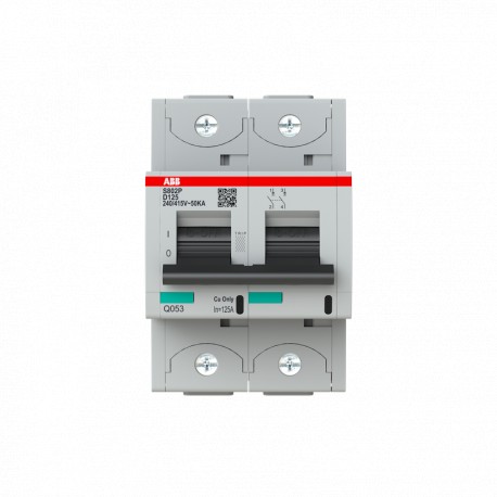 2CCG001243R0001 ABB Int. aut. S802P-D125 2p 125A D 50kA