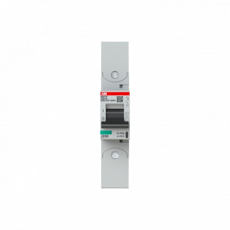 2CCG001263R0001 ABB Int. S801P-C80-R 1P 80A C 50kA