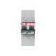 2CCG001282R0001 ABB Int. S802P-B100-R 2P 100A B 50kA