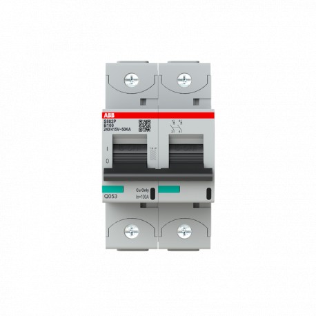 2CCG001218R0001 ABB Int. S802P-B100 2p 100A B 50kA