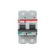 2CCG001230R0001 ABB Int. aut. S802P-C100 2p 100A C 50kA