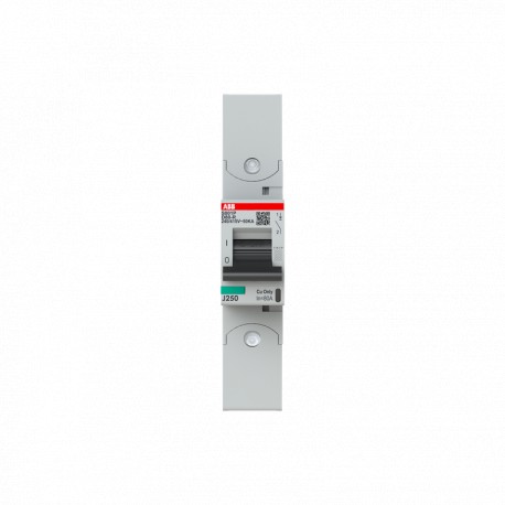 2CCG001264R0001 ABB Int. S801P-D80-R 1P 80A D 50kA