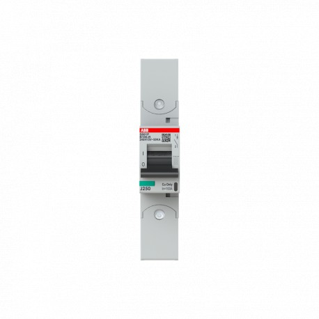 2CCG001278R0001 ABB Int. S801P-B100-R 1P 100A B 50kA