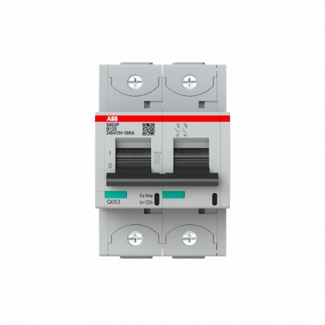 2CCG001219R0001 ABB Int. S802P-B125 2P 125A B 50kA