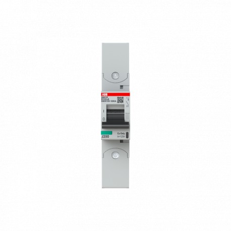 2CCG001296R0001 ABB Int. S801P-D125-R 1P 125A D 50kA