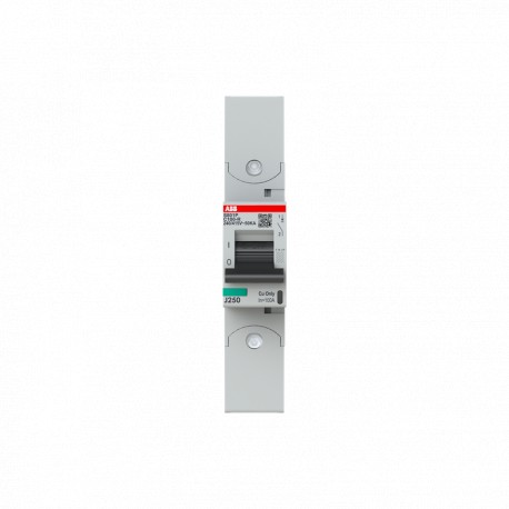 2CCG001279R0001 ABB Int. aut. S801P-C100-R 1p 100A C 50kA